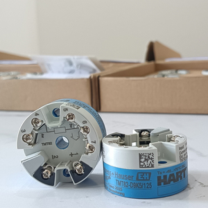 Dispositivo de riel DIN HART de temperatura E+H ITEMP TMT82 con dos entradas de sensor universales SIL 2 para áreas peligrosas ABS ODM - Product Image 5