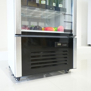 Nhà Máy Trực Tiếp Thương Mại Thẳng Đứng Mát Tủ Lạnh Cửa Kính Làm Mát Bằng Không Khí Đồ Uống Tủ Lạnh Cho Trong Nhà Ngoài Trời Sử Dụng Siêu THỊ - Product Image 6