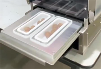 Scelleuse de barquettes alimentaires entièrement automatique haute précision DF250TA-E pour barquettes en plastique/feuille d'aluminium, à gaz ou électrique, vente directe usine