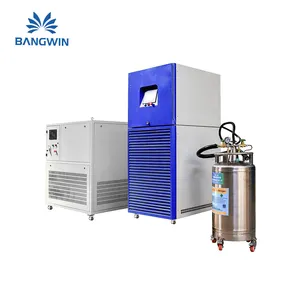 BW IVF Propósitos Pequeñas Plantas de nitrógeno líquido Mini generador Nitrógeno Líquido Máquina