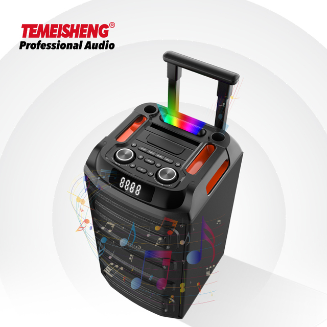 Temeisheng 12-Inch Trolley Wooden Speaker RGB LED Lighting Powered Sound Box for Parties and Karaoke Computer Use