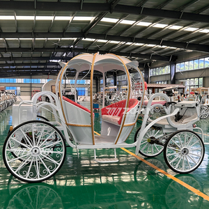 Carruaje Eléctrico Personalizable para Bodas, Estilo Cenicienta, en Oferta - Product Image 1