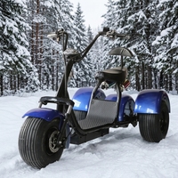 Sepeda Listrik Roda Tiga Citycoco Bersertifikasi EEC 2000W Rangka Aluminium Ban Lebar Baterai Lithium 60V Rem Cakram Motor Tanpa Sikat