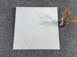 Compre baldosas de porcelana blanca homogénea para pisos de hotel, económicas, de 600x600, de alta calidad, fabricadas en Turquía. - Product Image 4