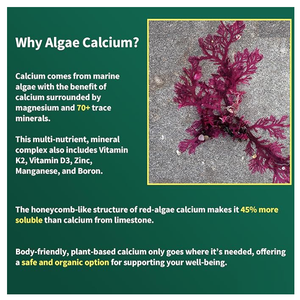 Private label alghe calcio integratore di gomma estratto da alghe rosse islandesi con aggiunta di magnesio vitamina K2 e boro - Product Image 5