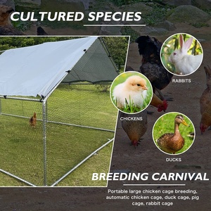 Manufactory חיצוני גדול לול הליכה מתכת כלוב חן עם עמיד למים כיסוי 19ft x 9ft x 6.5ft בחצר האחורית עוף כלובי - Product Image 5