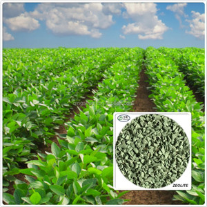 Zeolita <span class=keywords><strong>clinoptilolita</strong></span> para agricultura, zeolita natural para la modificación del suelo de 1-2mm - Product Image 5