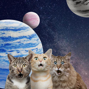 Venta caliente de fábrica punto Bola de juguete EVA planeta textura bola Vía Láctea self-Hey aliviar el aburrimiento gato juguete - Product Image 2