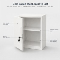 Armoire de rangement en acier à porte simple pour échantillons, casier bas pour dossiers, organisation d'archives de documents de bureau et d'additifs alimentaires en usine
