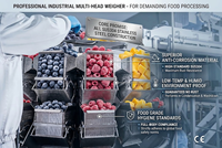 Automatische diepvriesfruitverpakkingsmachine VFFS voor IQF-bessen, mango, ananas en gemengd fruit
