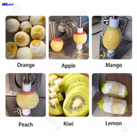 Commerciële fruitpelschilmachine van roestvrij staal, sinaasappel-appel-kiwi-schiller, automatische fruit- en groenteschilmachine