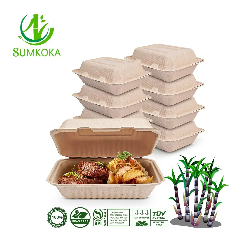 SUMKOKA Boîte d'emballage biodégradable pour aliments à emporter déjeuner repas à emporter restauration rapide canne à sucre bagasse pulpe