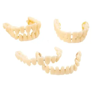 Juego de 28 Dientes de Resina Universales, Modelo de Dientes Postizos Duraderos, Material Dental para Enseñanza - Product Image 3