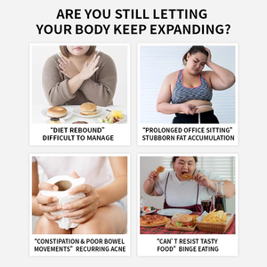 Capsules GLP-1, complément probiotique multi-souches pour adultes, prix de gros pour soutenir naturellement le GLP-1 - Product Image 6