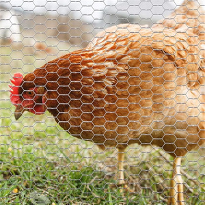 Mạ kẽm gia cầm cá nồi Dây Lục giác gà dây lưới sắt mạ kẽm - Product Image 5