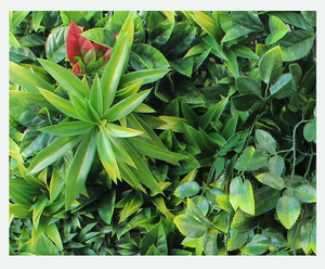 Alta calidad 100cm x 100cm de césped artificial pared con flores y hojas de color verde de hierba pared artificial - Product Image 6