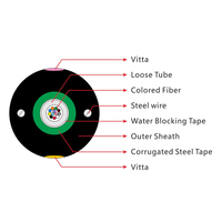 Cable de Fibra Óptica para Exteriores GYXTW de 12 Núcleos con Cubierta de PE y Armadura de Acero, Rollo de 2/3 km, OEM ODM