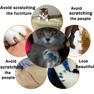 Lot de 40 capuchons de protection pour ongles de <span class=keywords><strong>chat</strong></span>, manucure pour animaux de compagnie, capuchons de griffes en silicone avec colle gratuite pour chiens et chats - Product Image 2