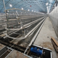Cage d'élevage de type A entièrement automatique à 3/4 niveaux pour 500 à 2000 poussins, idéale pour les fermes avicoles chaudes et humides