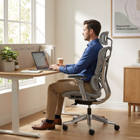 Chaise de gaming AOR Grid avec appui-tête sans souci, conception de séparation lombaire et dorsale, châssis coulissant à quatre vitesses, vente en gros usine