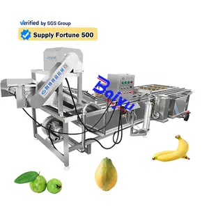 Baiyu Vegetable Salad Washing Packaging Line / Vegetable and Fruit Processing Line / Frozen Vegetable Production Line