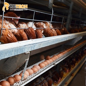 Thiết Bị Gia Cầm Loại H Tự Động Hoàn Toàn Cho Trang Trại Chăn Nuôi Gà Hai Lớp - Product Image 5