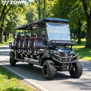2026 Trend 2 Seat Electric Golf Cart <b>Foldable</b> Design 48V Lithium Battery Golf <b>Trolley</b> - Product Image 1