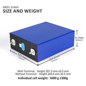 <span class=keywords><strong>PL</strong></span>ストック 3.2V 314Ah LiFePO4 MB31 バッテリーセル 太陽光エネルギー貯蔵用 8000サイクル グレードM6端子 DDPサービス - Product Image 5