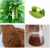 Extracteur de melon, poudre, pot, lin, momortica, Charantia