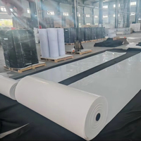 Ventes chaudes : Bande transporteuse en PE/PP blanc pour fumier, pour fermes avicoles, directement du fabricant