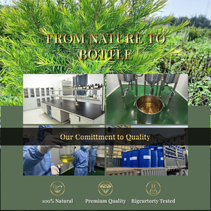 Aceite Esencial de Árbol de Té Australiano de 5 kg, 100 % Puro y Natural, Aceite de Árbol de Té Crudo para el Cuidado de la Piel y el Cabello - Product Image 5