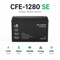 Batterie LiFePO4 LFP CFE-2560 SE 25,6V 100Ah avec BMS IP65, 3000 cycles, pour onduleur Sungrow, solaire marin et alimentation de secours solaire