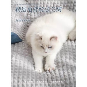 <b>Pet</b> cat bed, all-season cat bed, comfortable and warm, suitable for home use, <b>sofa</b> bed, winter sleeping mat for kittens and - Product Image 3