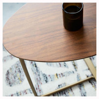 Table d'appoint en acier doré nordique moderne et durable, tables d'appoint en bois pour le salon, meubles de maison