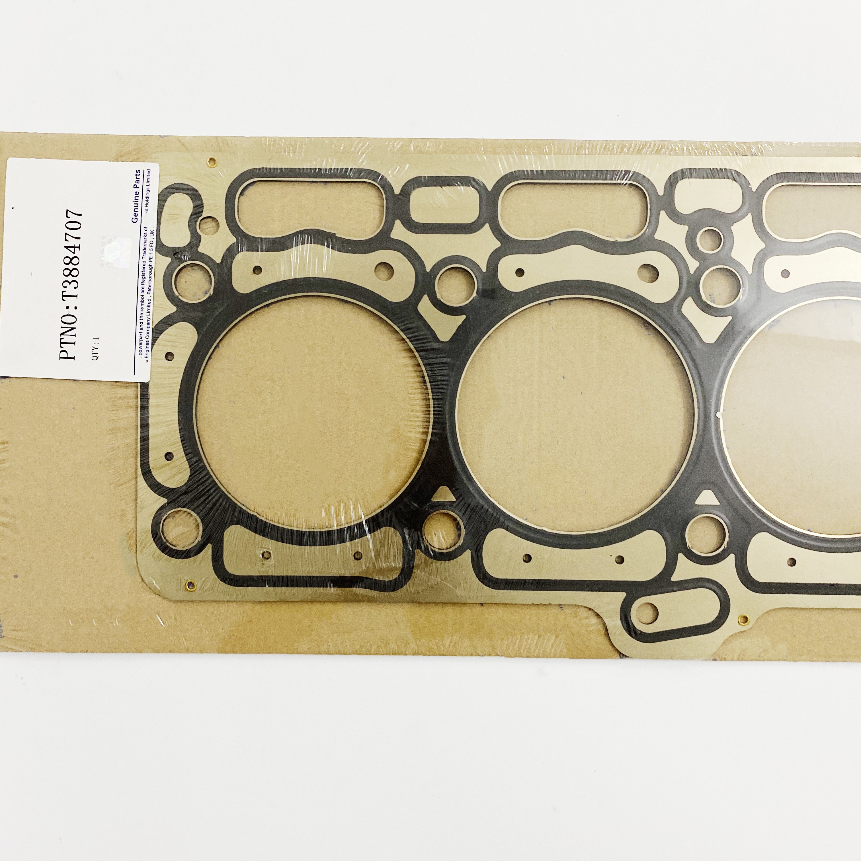 タイマイ剥製 Yahoo!オークション -「タイマイ 剥製」の落札相場・落札価格