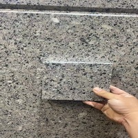 Dalles et Plaques de Granit Diamanté Gris Clair Naturel Poli sur Mesure Eastern Stone Century pour Revêtement Mural et de Sol – Garantie 5 Ans