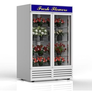 Vitrine verticale commerciale pour fleurs, 2 portes, type de refroidissement, congélateur de préservation florale - Product Image 1