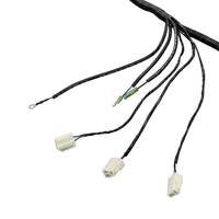 Arnés de Cableado para Modificación de Motor de Automóvil Personalizado con Certificación TS16949, con Conductor de Cobre Estañado y Aislamiento de PVC
