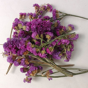 Venta al por mayor de cabezas de flores de olvido-mi-no-te-olvides secas a granel para decoración de bolsas, velas, tarros de cristal, material de manualidades DIY, paquete. - Product Image 4