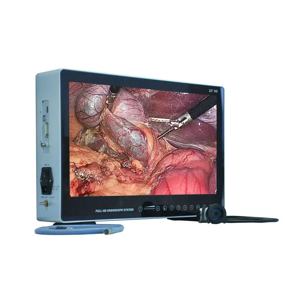 Factory price Endoscopy Endoscope HD 4K Camera System With LED Cold Light Source Medical Endoscope Camera Machine OEM Available