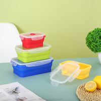 Récipients de stockage des aliments pliables en silicone pliable TD1 800ml, bols de stockage pliables de cuisine avec couvercles en plastique hermétiques