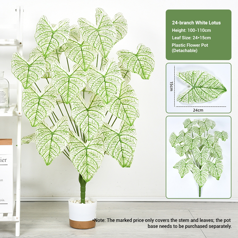 24 fourchettes lotus blanc (100-110cm)