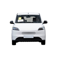 Wuling Hongguang 2025 Type Standard, Véhicule Utilitaire Multiplace (VUM) Hybride à Autonomie Étendue (REEV) avec 150 km d'autonomie électrique, Nouvelle Énergie