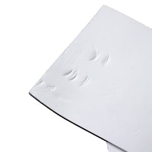 Hojas de PTFE expandido de película plástica de alta calidad Hoja DE DATOS DE PTFE expandido - Product Image 3