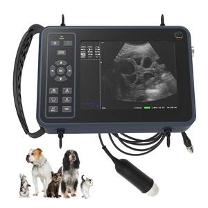 Échographe vétérinaire portable GOYOJO à succès pour la gestation, avec sonde sectorielle mécanique pour ovins - Product Image 1