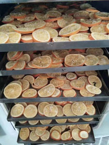 食品凍結乾燥機商用ヒートポンプ洗濯機中国製ドライヤーフルーツマシン - Product Image 3