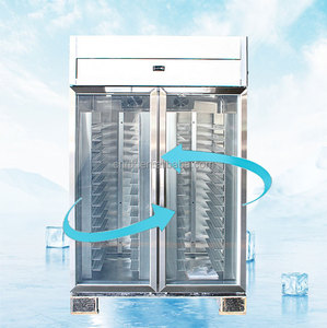Congélateur vertical commercial à température unique, double porte, refroidissement par air, avec porte vitrée pour présentation - Product Image 2