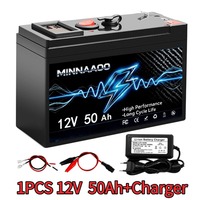 Baterai Lithium Iron Phosphate 12V 30-200Ah LiFePO4 Baterai Isi Ulang dengan Pengisi Daya untuk Sistem Tenaga Surya RV Perahu Berkemah