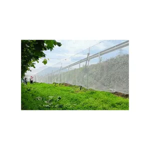 40-50 Mesh Insectennet Kas Fruitboom Insectennet Anti Hagelnet Landbouw