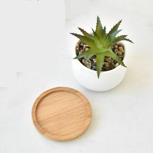 Macetas Modernas de Lujo de Alta Calidad para Plantas Gruesas, Soportes para Macetas de Bonsái para Uso en Interiores y Jardines - Product Image 1